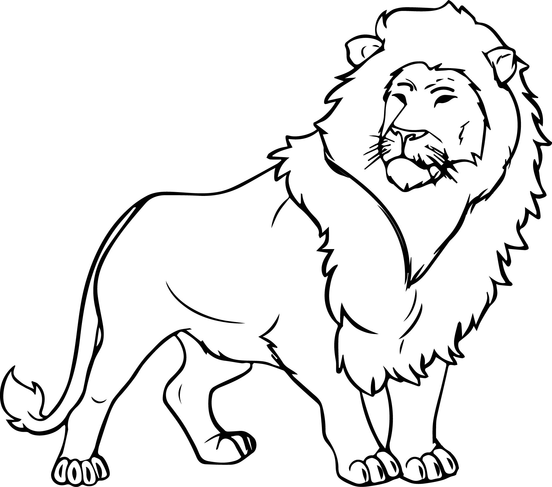 gambar sketsa binatang singa