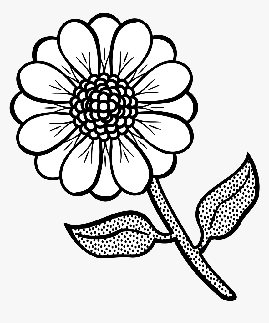 gambar sketsa bunga indah png
