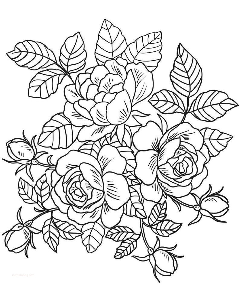 gambar sketsa bunga keren