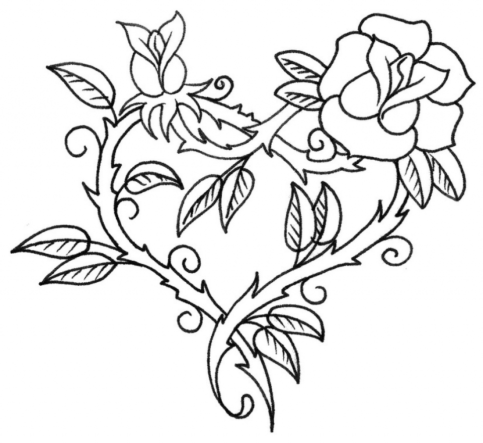 gambar sketsa bunga mawar diwarnai