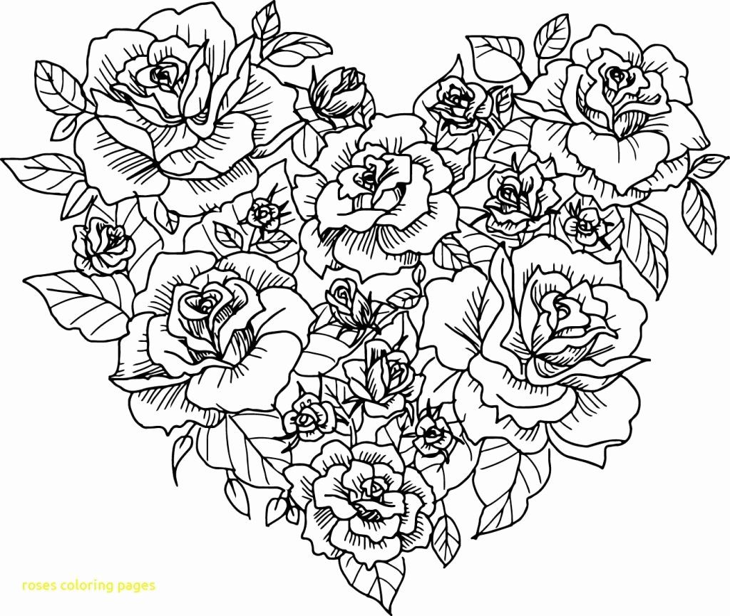 gambar sketsa bunga mawar hd