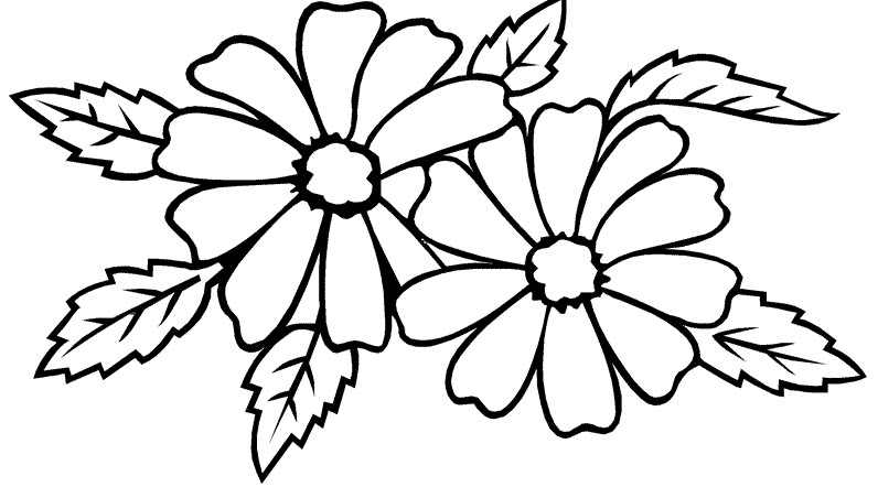 gambar sketsa bunga melati mewarnai