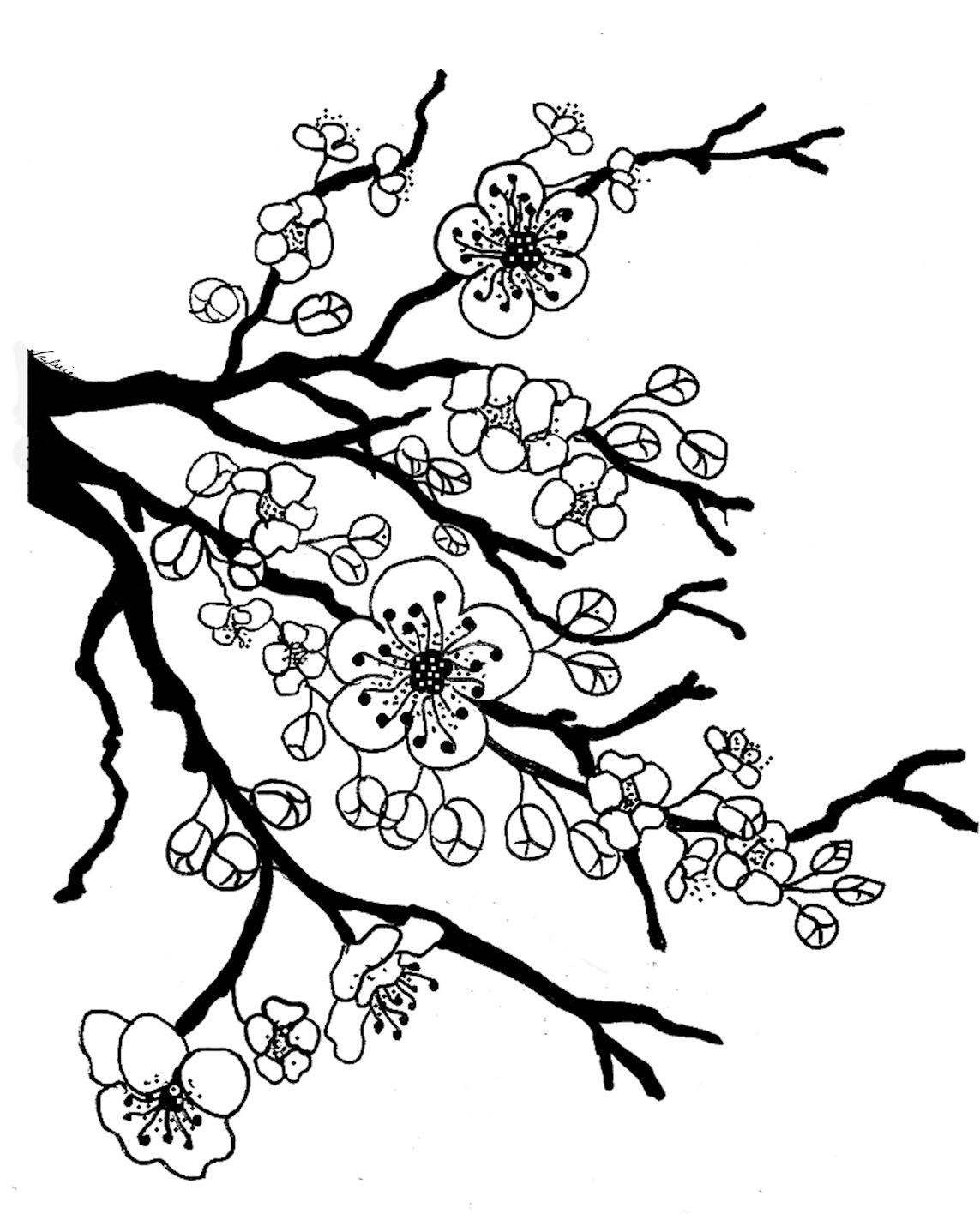 gambar sketsa bunga sakura mewarnai