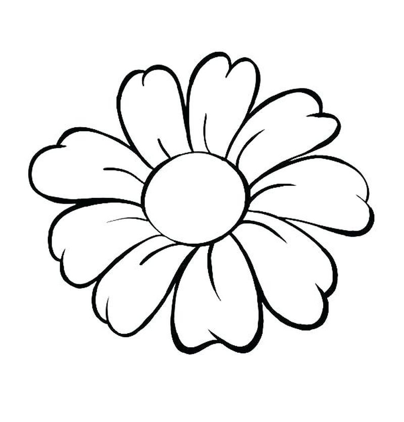 gambar sketsa bunga sederhana bunga rose