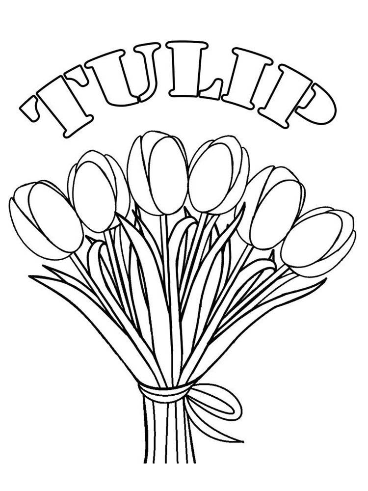 gambar sketsa bunga tulip Hd
