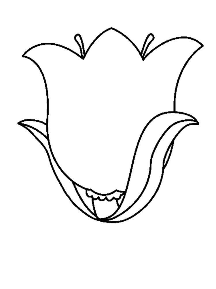 gambar sketsa bunga tulip mekar