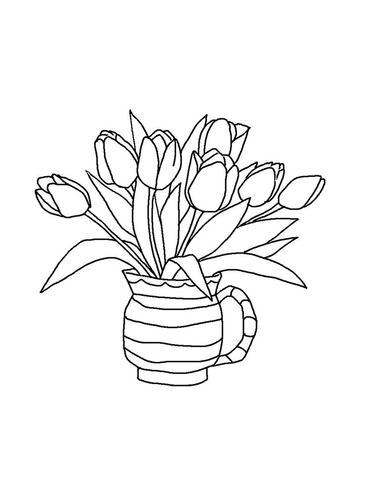 gambar sketsa bunga tulip untuk mewarnai