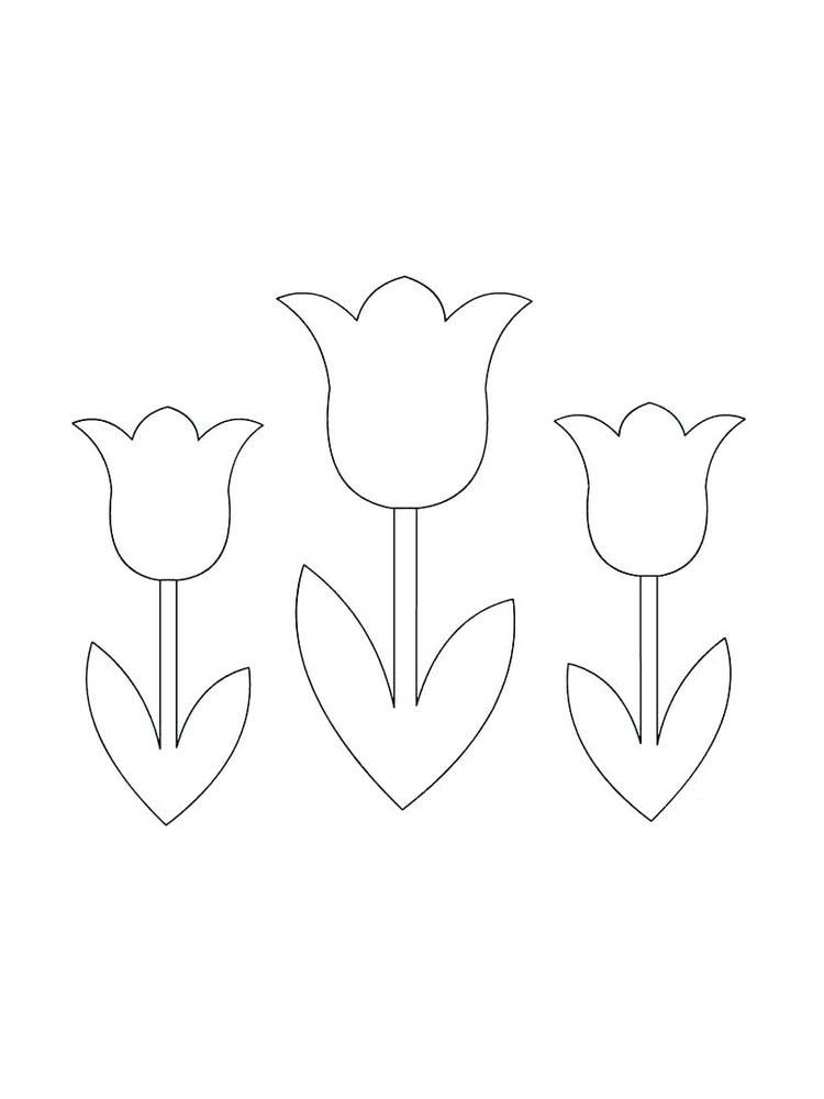 gambar sketsa bunga tulip yang indah
