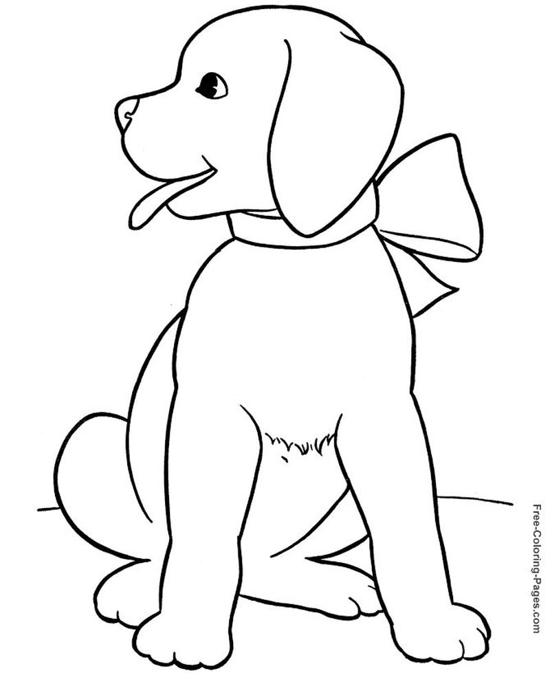gambar sketsa fauna anjing