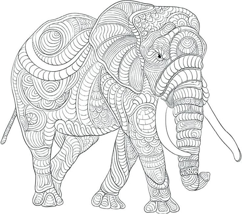 gambar sketsa gajah besar