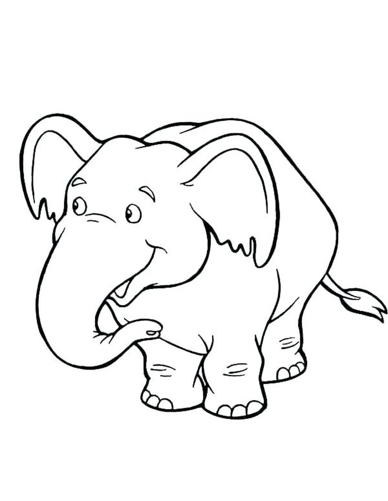 gambar sketsa gajah lucu hd
