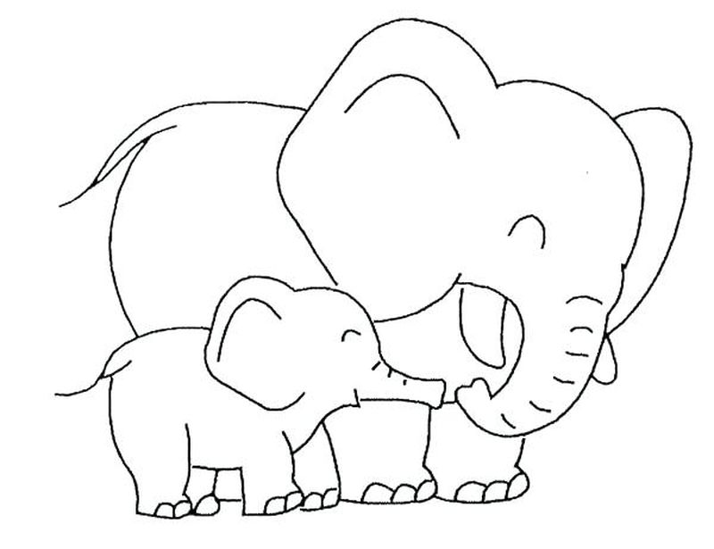 gambar sketsa gajah lucu