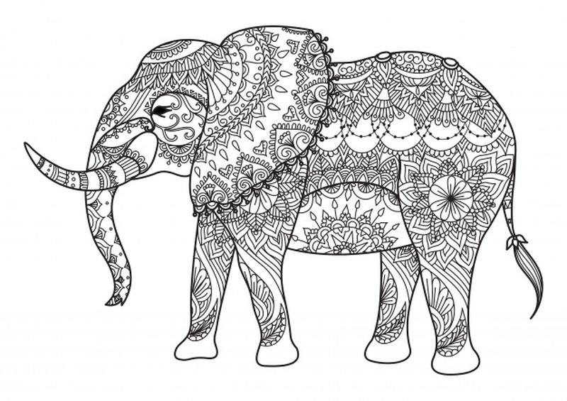gambar sketsa gajah untuk diwarnai