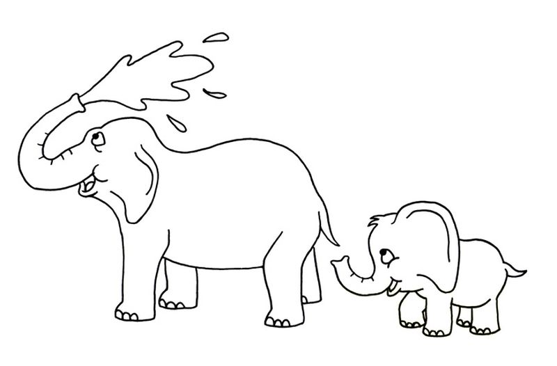 gambar sketsa gajah