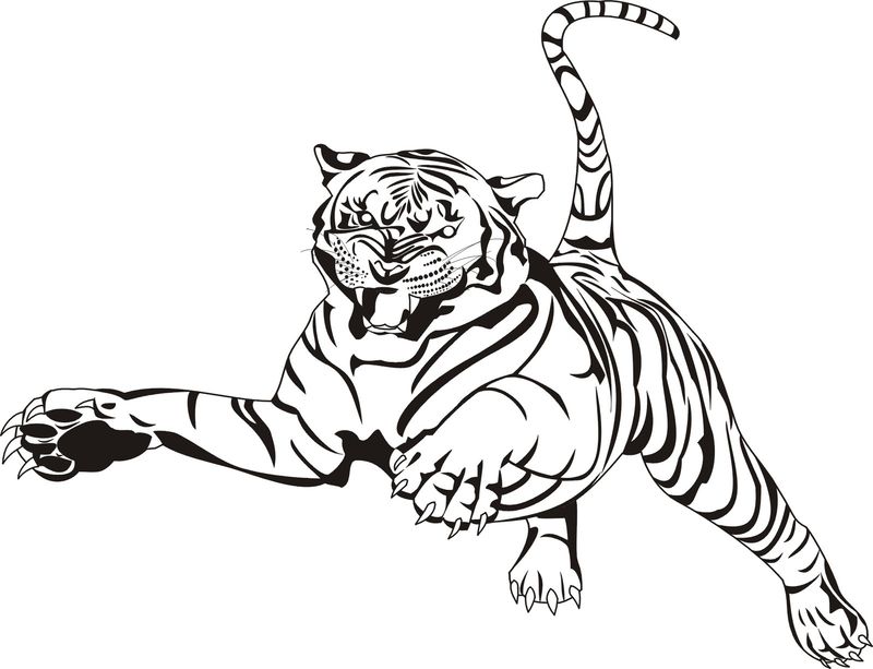 gambar sketsa harimau berlari