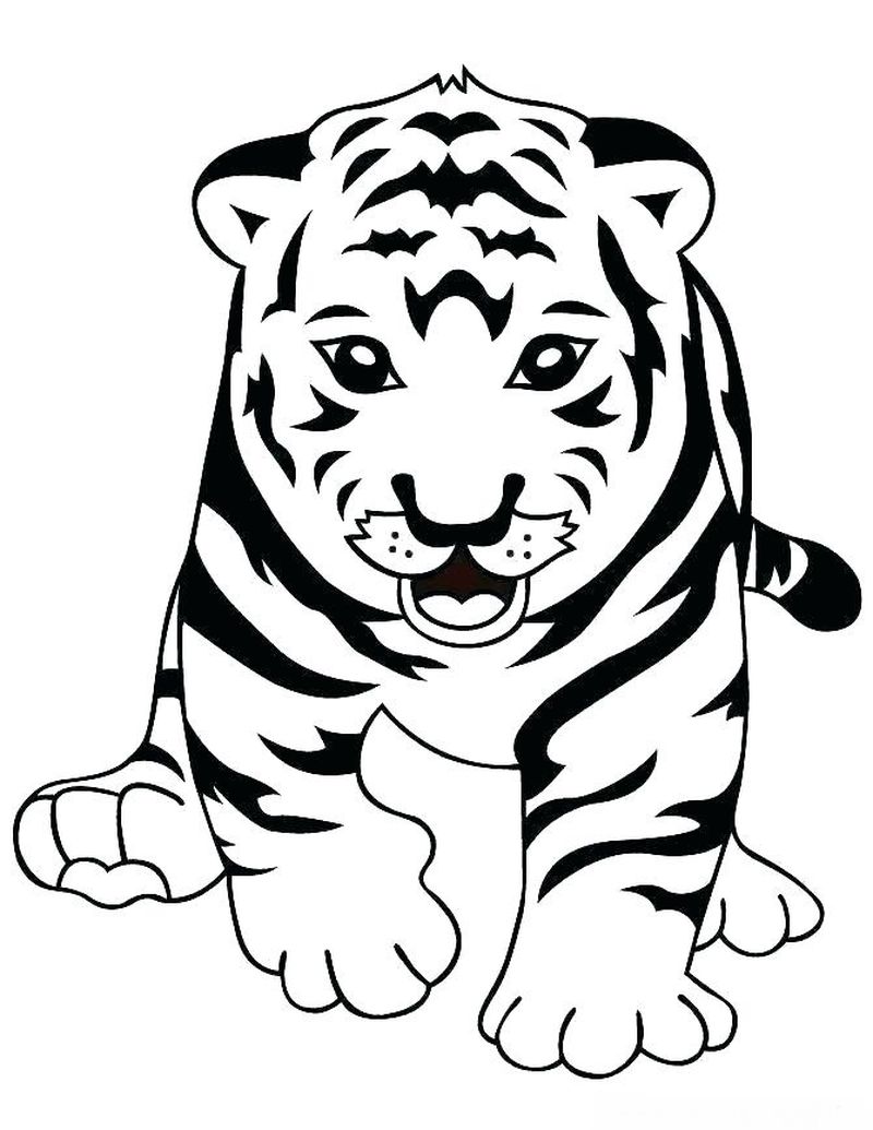 gambar sketsa harimau kartun