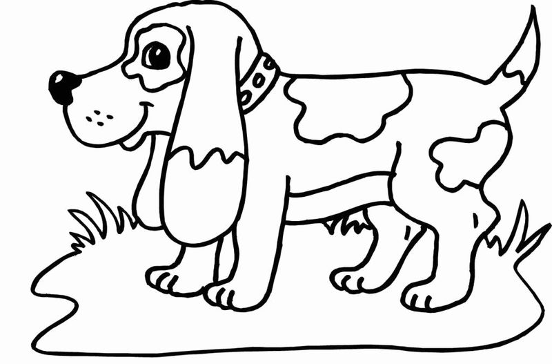 gambar sketsa hewan anjing