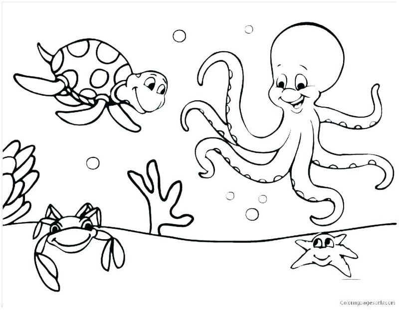 gambar sketsa hewan laut