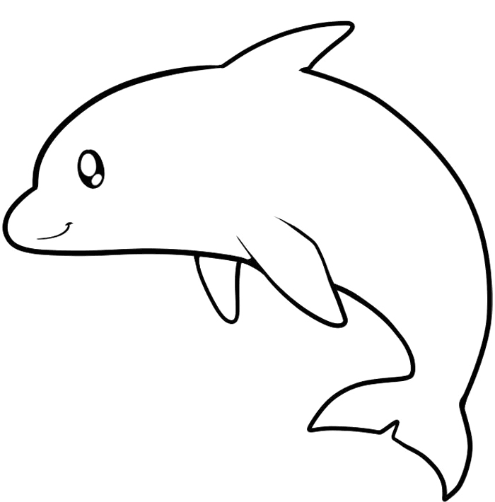 gambar sketsa hewan lumba lumba hd