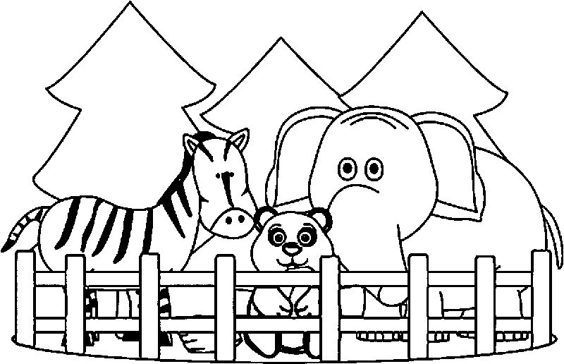 gambar sketsa hewan untuk diwarnai