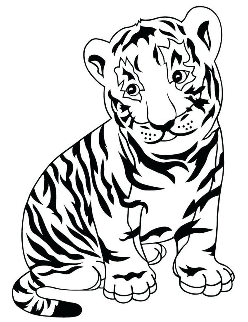 gambar sketsa kartun anak harimau
