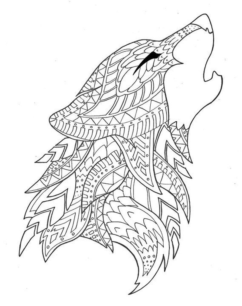 gambar sketsa kepala serigala hd