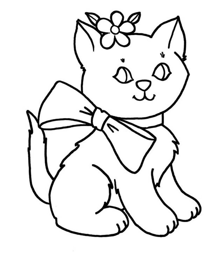gambar sketsa kucing betina