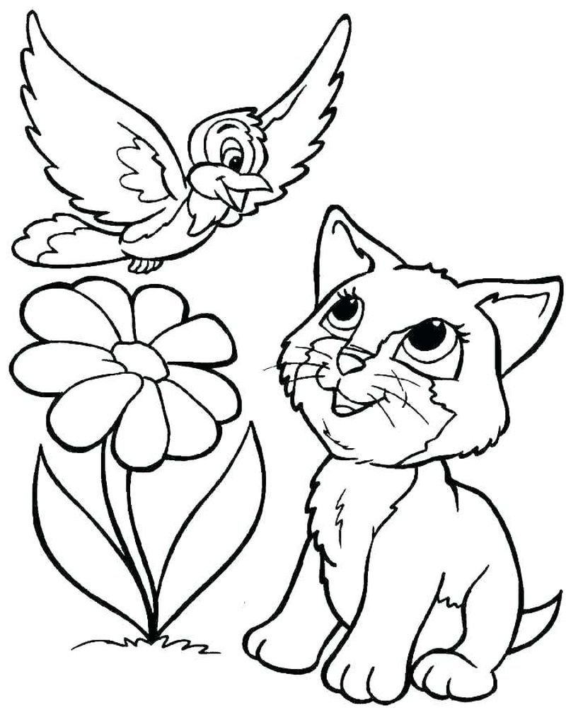 gambar sketsa kucing dan bunga