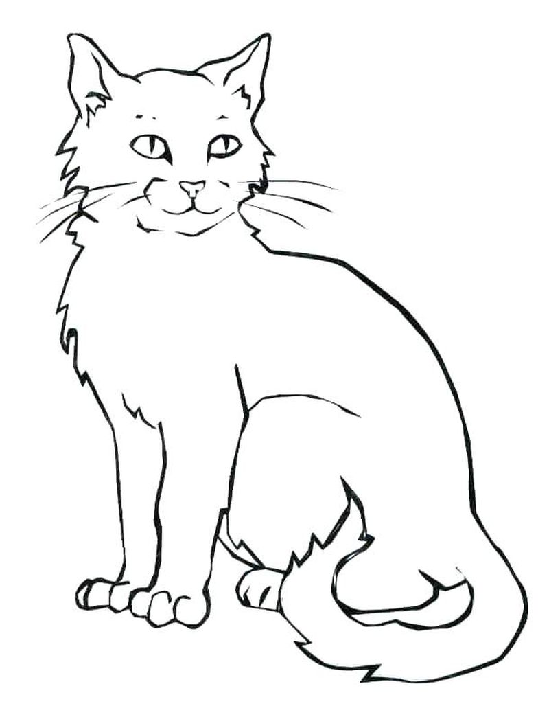 gambar sketsa kucing download