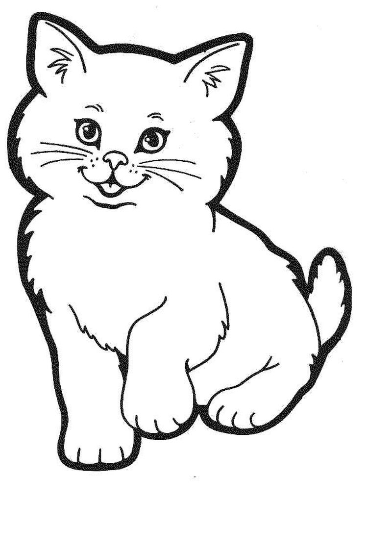 gambar sketsa kucing gemas