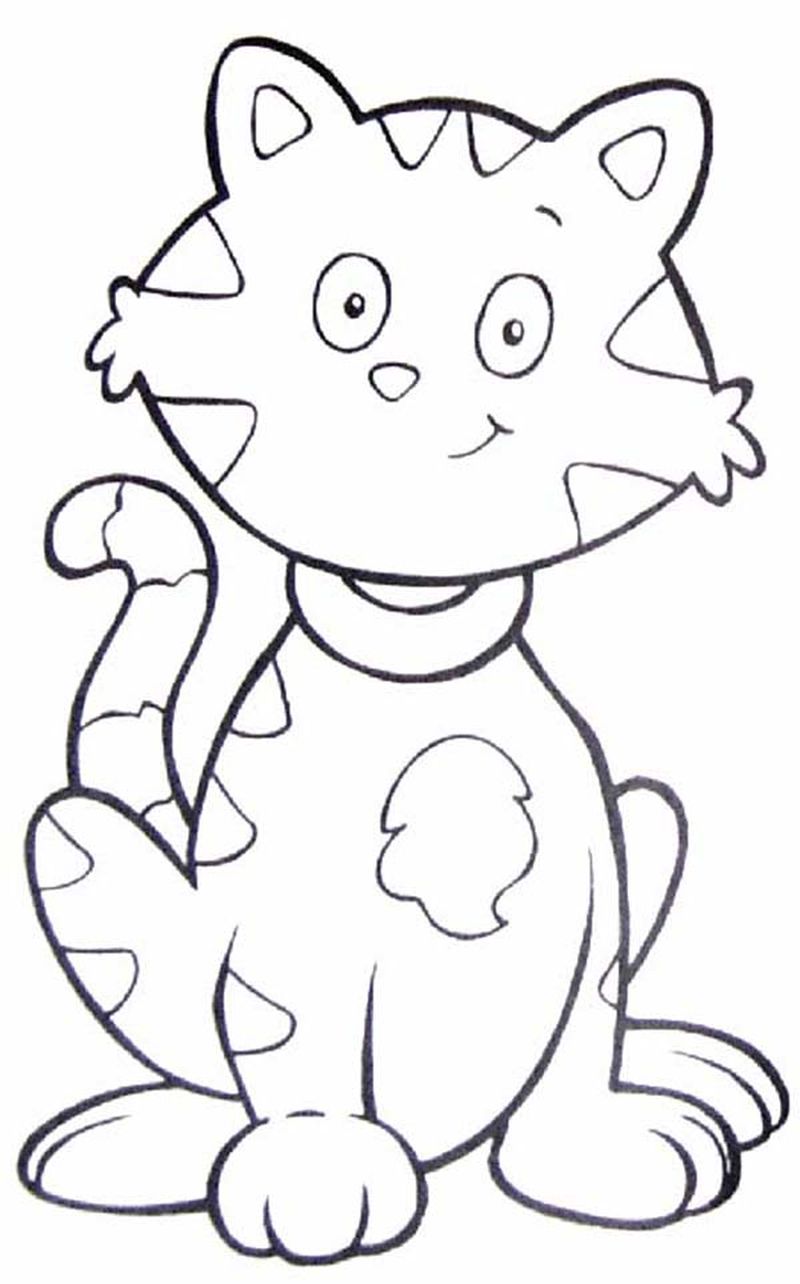 gambar sketsa kucing kartun
