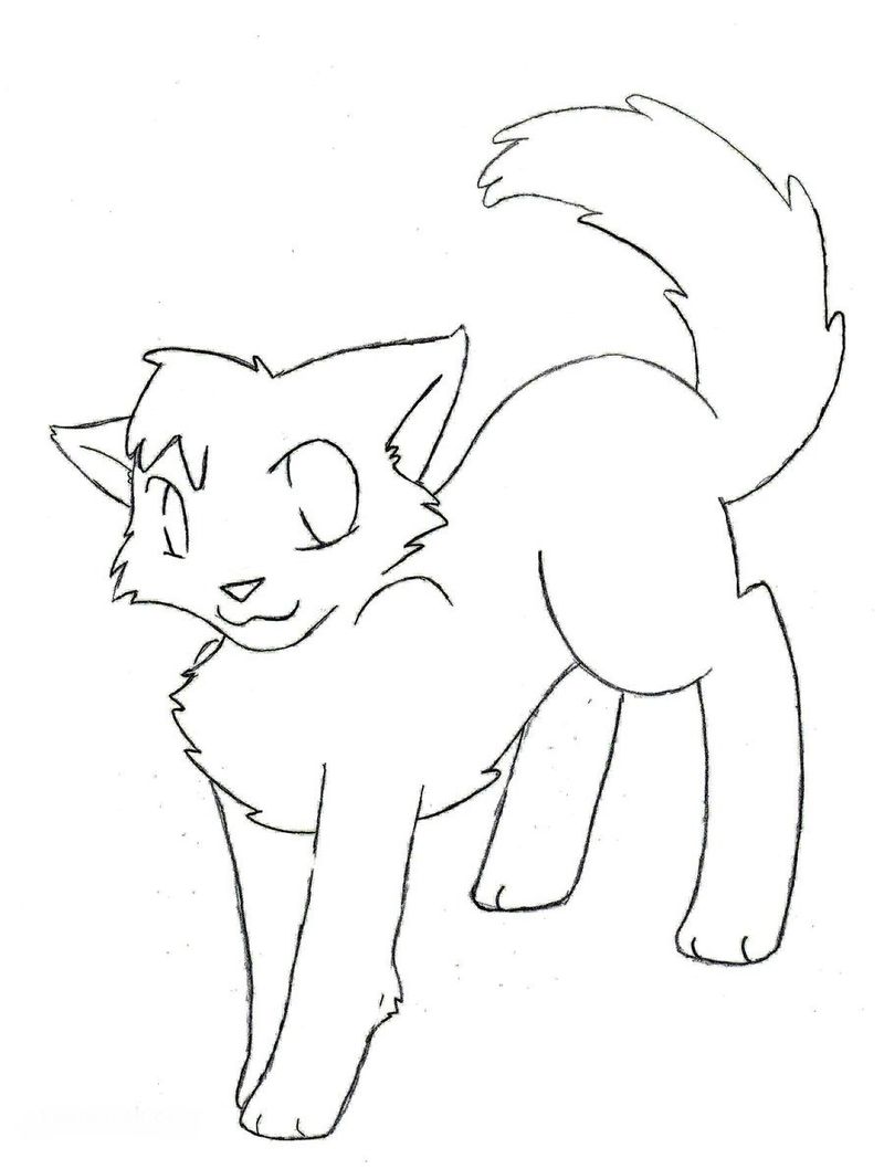 gambar sketsa kucing lucu sekali