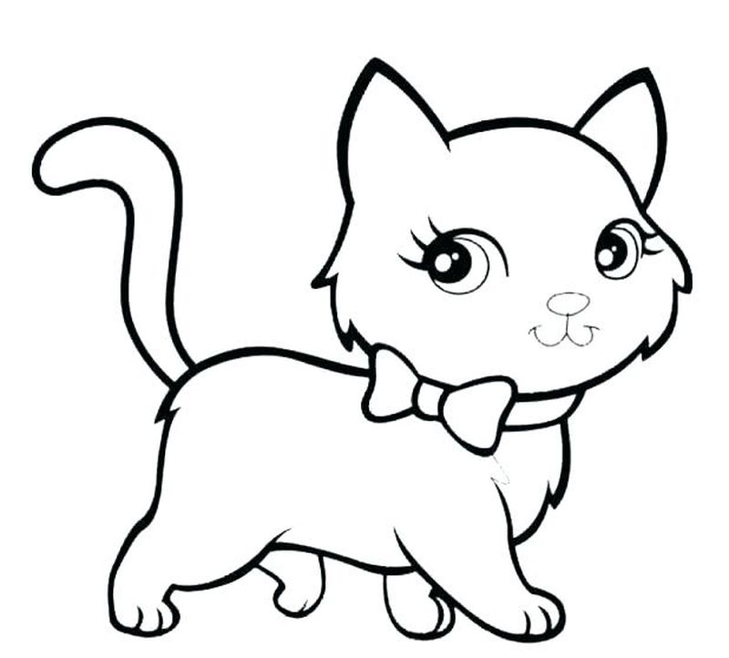 gambar sketsa kucing lucu