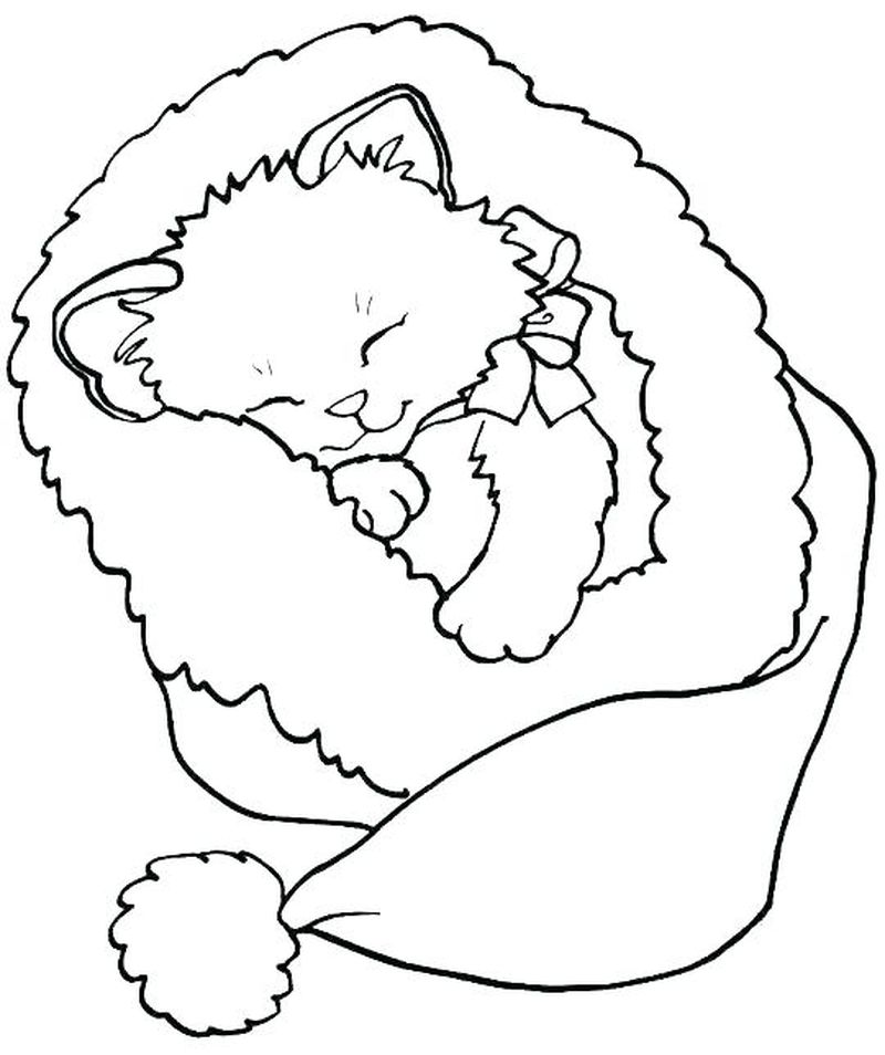 gambar sketsa kucing tidur