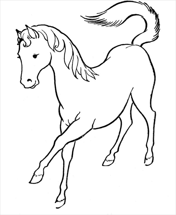 gambar sketsa kuda poni