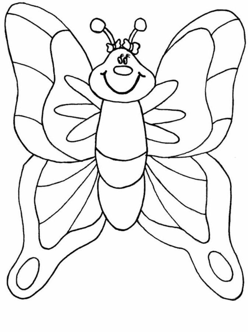 gambar sketsa kupu kupu keren