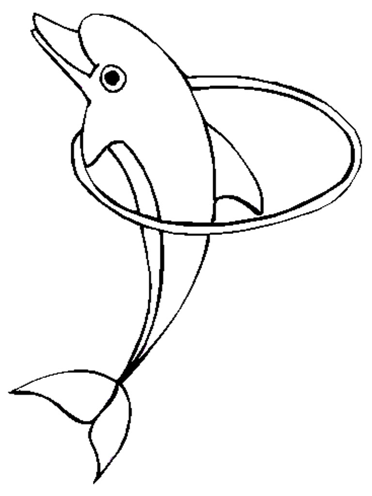 gambar sketsa lumba lumba ikan laut