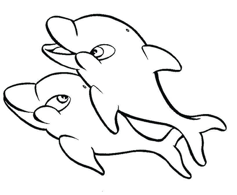 gambar sketsa lumba lumba ikan lucu