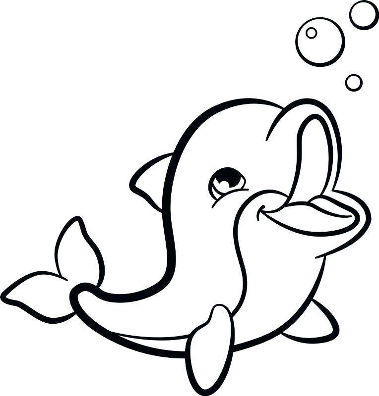 gambar sketsa lumba lumba kartun