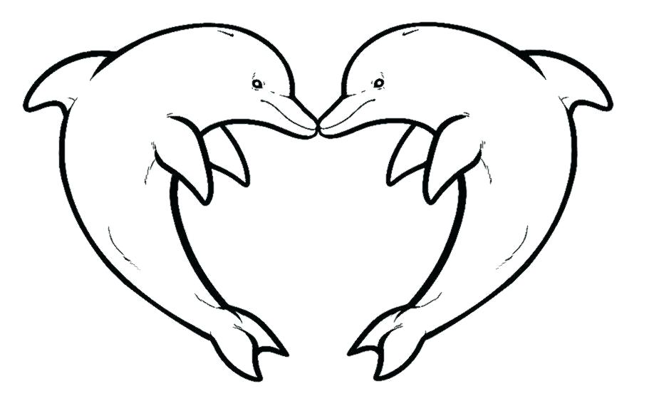 gambar sketsa lumba lumba untuk diwarnai
