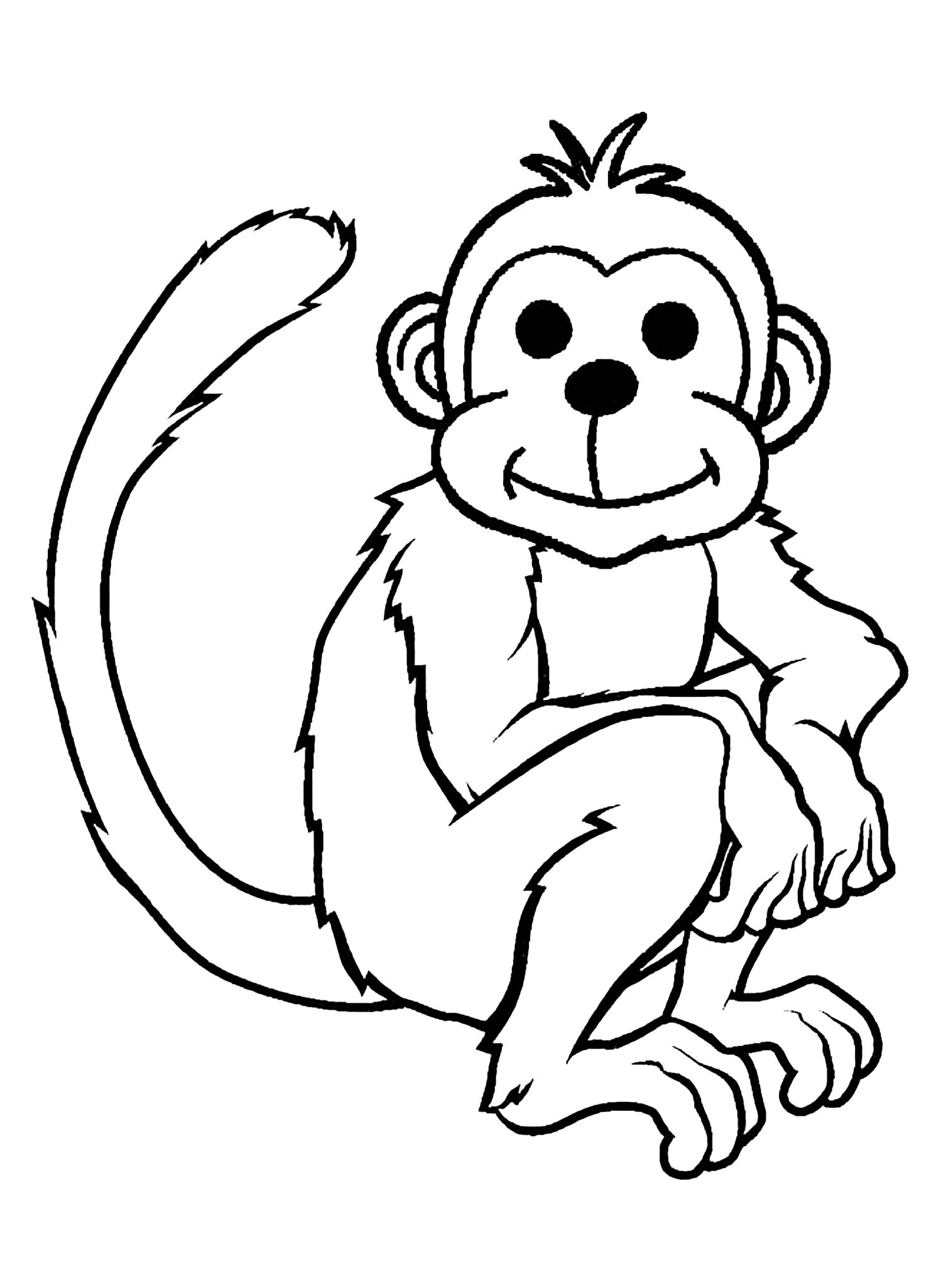 gambar sketsa monyet kartun