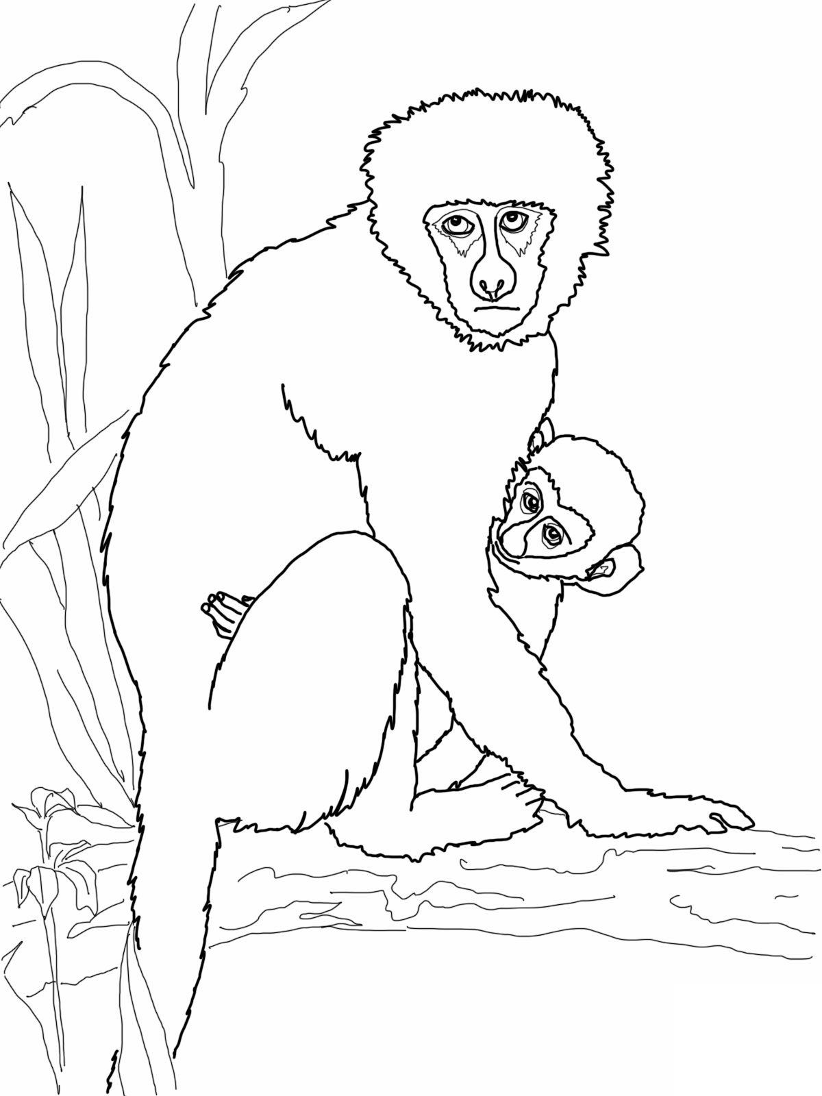 gambar sketsa monyet lucu