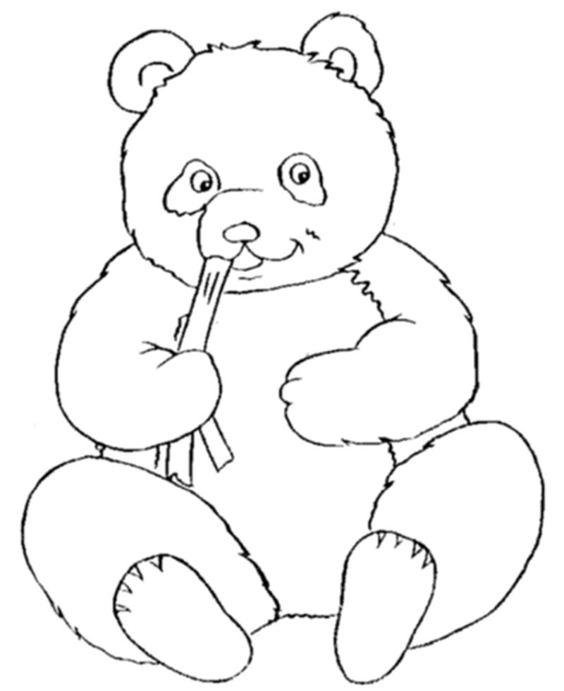 gambar sketsa panda lucu hd