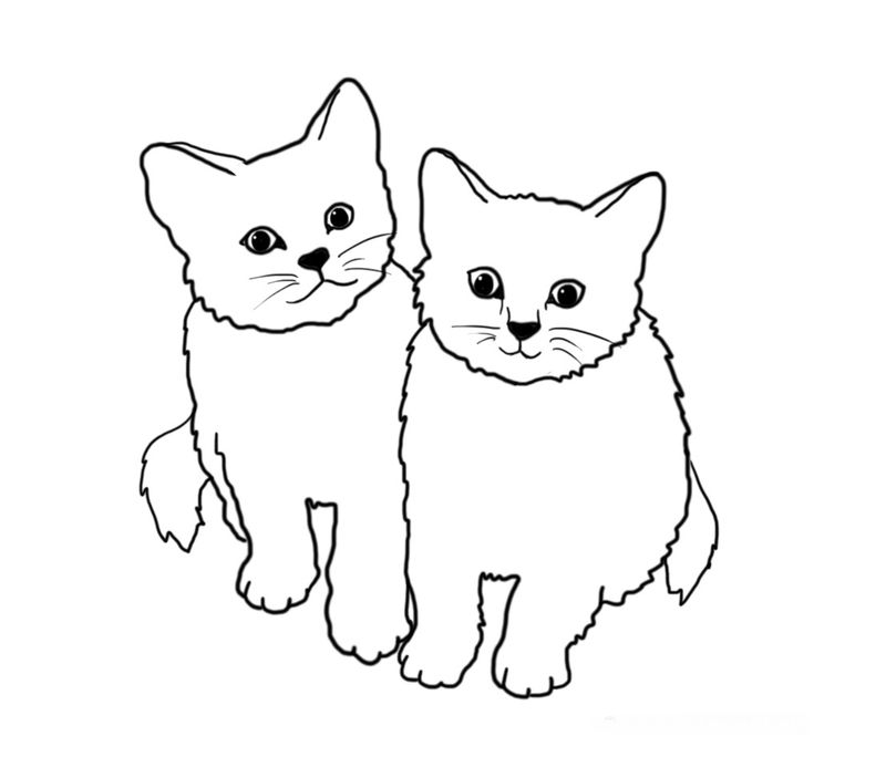 gambar sketsa sepasang kucing