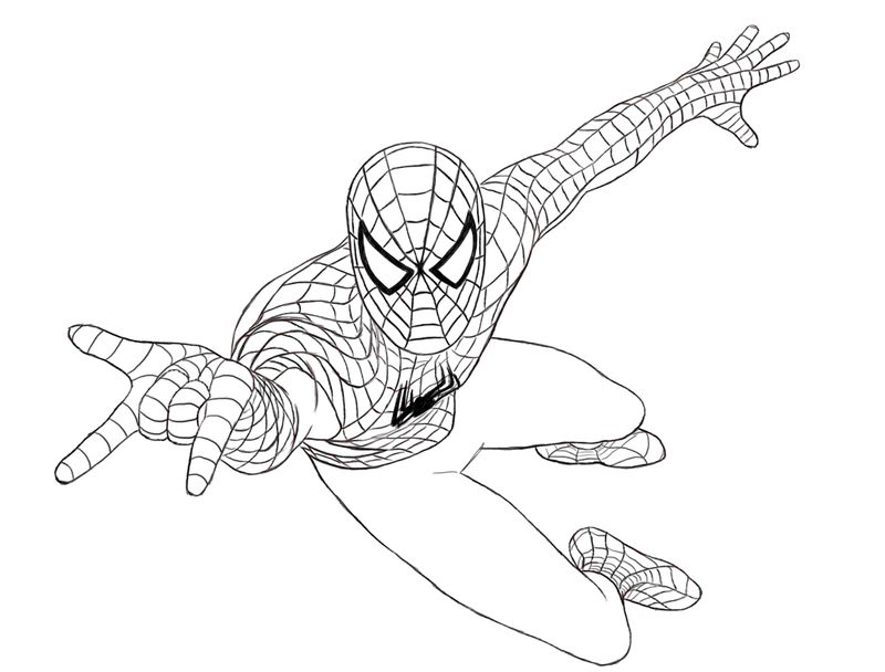 gambar sketsa spiderman beraksi hd