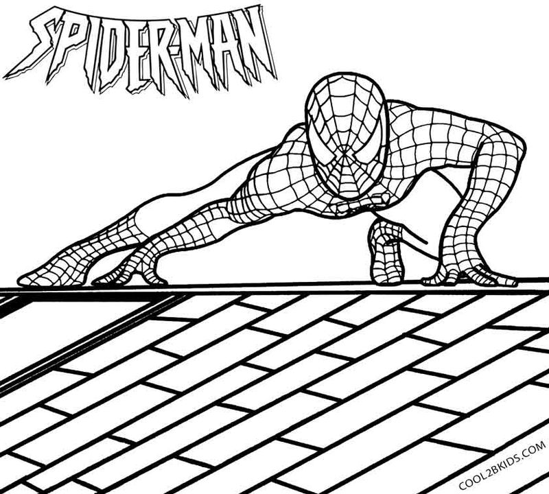 gambar sketsa spiderman beraksi