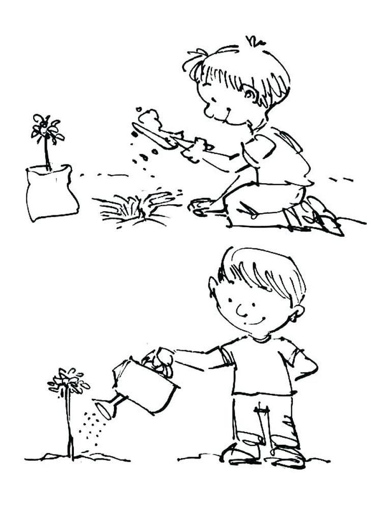 gambar sketsa tumbuhan anak menyiram bunga