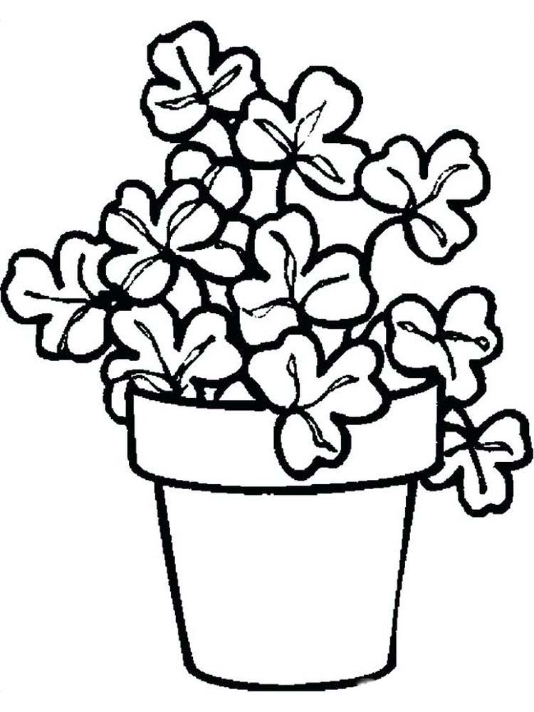 gambar sketsa tumbuhan di pot