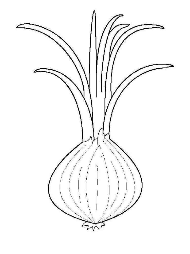 gambar sketsa tumbuhan hd