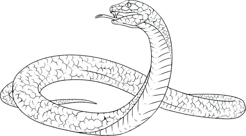 gambar sketsa ular hd